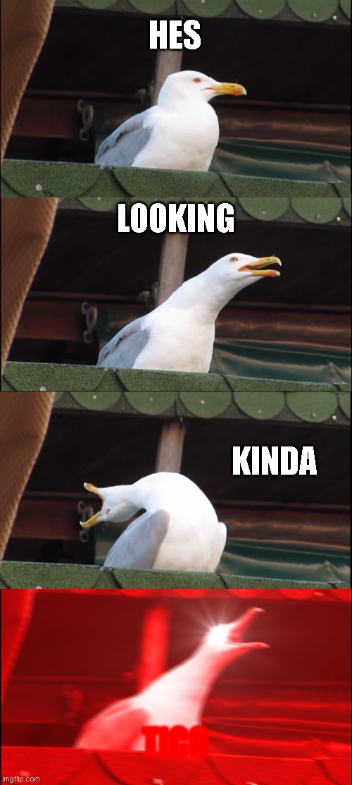 ticc | HES; LOOKING; KINDA; TICC | image tagged in memes,inhaling seagull | made w/ Imgflip meme maker