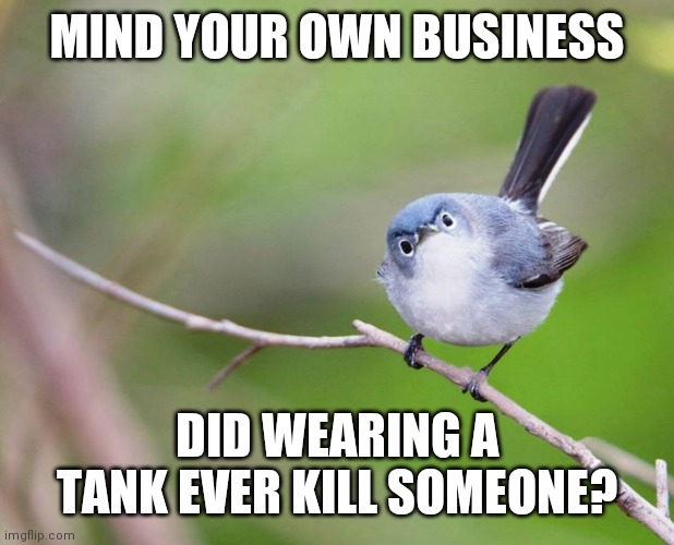 Mind Your Own Business! | MIND YOUR OWN BUSINESS DID WEARING A TANK EVER KILL SOMEONE? | image tagged in mind your own business | made w/ Imgflip meme maker