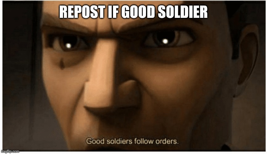 Good soldiers follow orders | REPOST IF GOOD SOLDIER | image tagged in good soldiers follow orders | made w/ Imgflip meme maker
