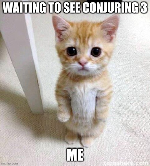 Cute Cat Meme | WAITING TO SEE CONJURING 3; ME | image tagged in memes,cute cat | made w/ Imgflip meme maker