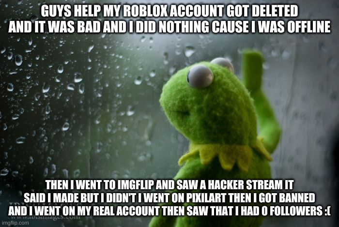 The worst day ever T-T | GUYS HELP MY ROBLOX ACCOUNT GOT DELETED AND IT WAS BAD AND I DID NOTHING CAUSE I WAS OFFLINE; THEN I WENT TO IMGFLIP AND SAW A HACKER STREAM IT SAID I MADE BUT I DIDN'T I WENT ON PIXILART THEN I GOT BANNED AND I WENT ON MY REAL ACCOUNT THEN SAW THAT I HAD 0 FOLLOWERS :( | image tagged in kermit window | made w/ Imgflip meme maker