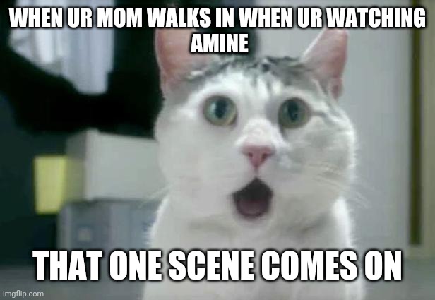 OMG Cat | WHEN UR MOM WALKS IN WHEN UR WATCHING
 AMINE; THAT ONE SCENE COMES ON | image tagged in memes,omg cat | made w/ Imgflip meme maker