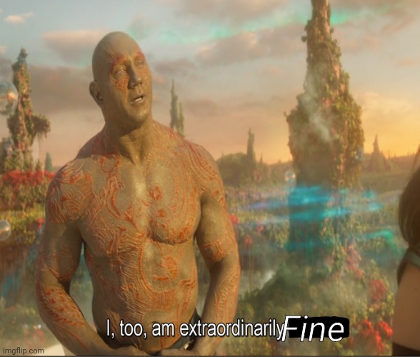 I too am extraordinairly | Fine | image tagged in i too am extraordinairly | made w/ Imgflip meme maker