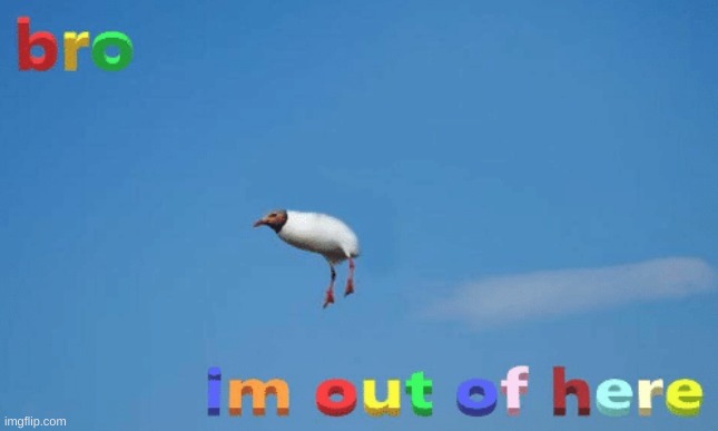 Bai | made w/ Imgflip meme maker