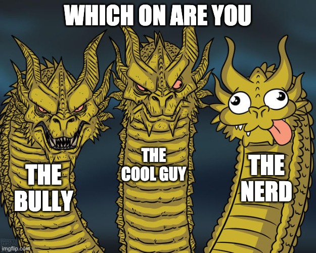 Three-headed Dragon | WHICH ON ARE YOU; THE COOL GUY; THE NERD; THE BULLY | image tagged in three-headed dragon | made w/ Imgflip meme maker