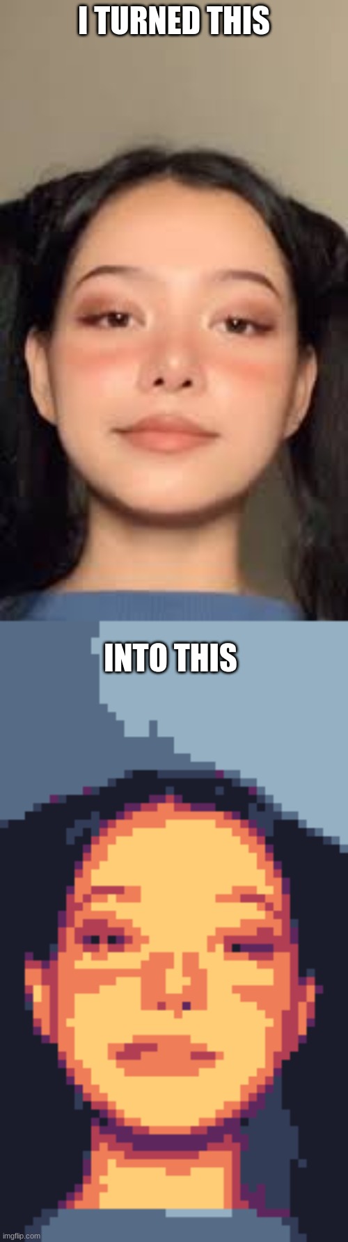 Am I A Good Pixel Artist? | I TURNED THIS; INTO THIS | made w/ Imgflip meme maker