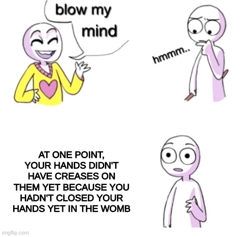 truth is scary sometimes | AT ONE POINT, YOUR HANDS DIDN'T HAVE CREASES ON THEM YET BECAUSE YOU HADN'T CLOSED YOUR HANDS YET IN THE WOMB | image tagged in blow my mind,big brain | made w/ Imgflip meme maker