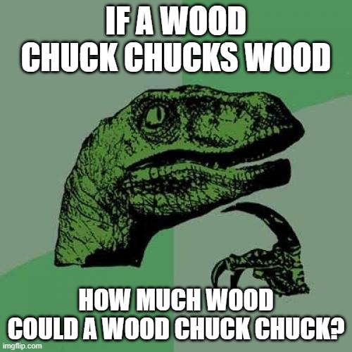 Philosoraptor | IF A WOOD CHUCK CHUCKS WOOD; HOW MUCH WOOD COULD A WOOD CHUCK CHUCK? | image tagged in memes,philosoraptor | made w/ Imgflip meme maker