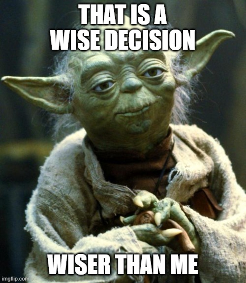 Star Wars Yoda Meme | THAT IS A WISE DECISION WISER THAN ME | image tagged in memes,star wars yoda | made w/ Imgflip meme maker
