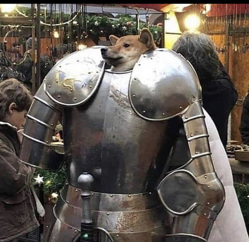 High Quality Doge Knight Blank Meme Template