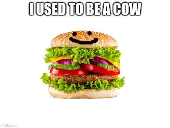 I USED TO BE A COW | image tagged in moo | made w/ Imgflip meme maker