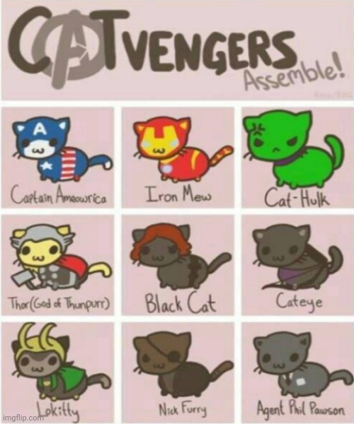 Catvengers | image tagged in cats,funny,memes,cute | made w/ Imgflip meme maker
