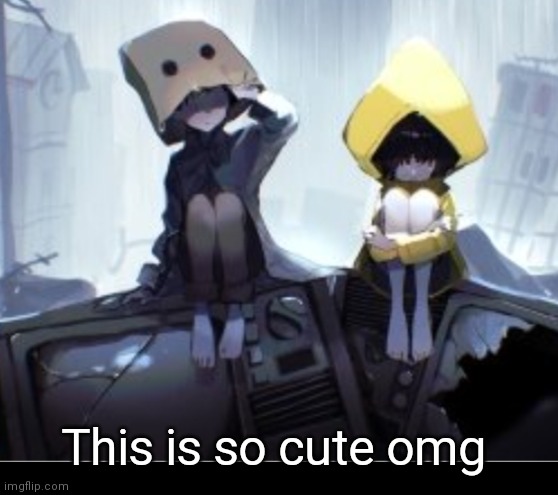 This is so cute omg | made w/ Imgflip meme maker