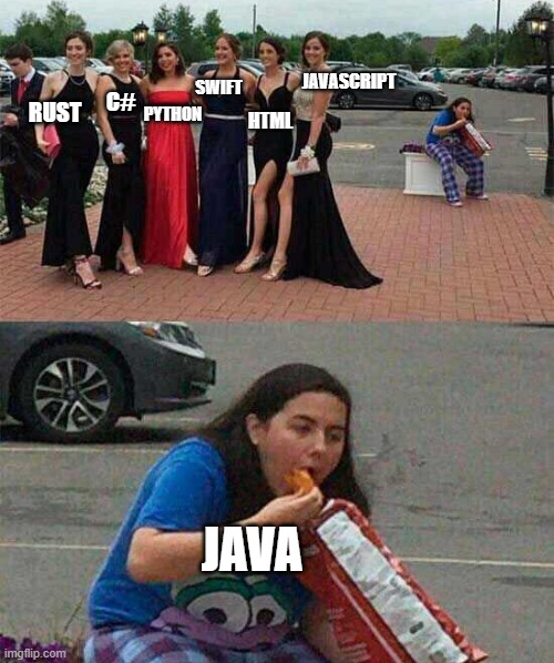 Programing Languages | JAVASCRIPT; SWIFT; C#; RUST; PYTHON; HTML; JAVA | image tagged in girl eating chips,coding | made w/ Imgflip meme maker