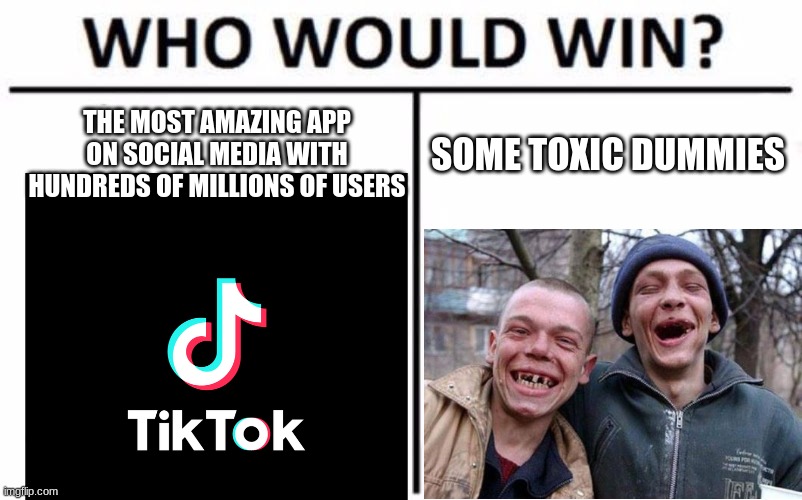 Who Would Win? Meme | THE MOST AMAZING APP ON SOCIAL MEDIA WITH HUNDREDS OF MILLIONS OF USERS; SOME TOXIC DUMMIES | image tagged in memes,who would win,tiktok,funny,upvotes,lol | made w/ Imgflip meme maker