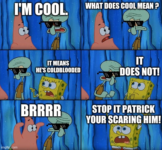 Stop it Patrick you're scaring him | I'M COOL. WHAT DOES COOL MEAN ? IT DOES NOT! IT MEANS HE'S COLDBLOODED; BRRRR; STOP IT PATRICK YOUR SCARING HIM! | image tagged in stop it patrick you're scaring him | made w/ Imgflip meme maker