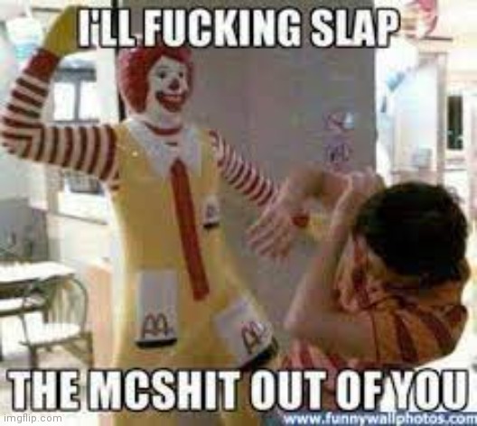 I will slap the mc**** out of you | image tagged in i will slap the mc out of you | made w/ Imgflip meme maker