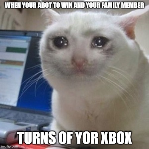 Crying cat | WHEN YOUR ABOT TO WIN AND YOUR FAMILY MEMBER; TURNS OF YOR XBOX | image tagged in crying cat | made w/ Imgflip meme maker