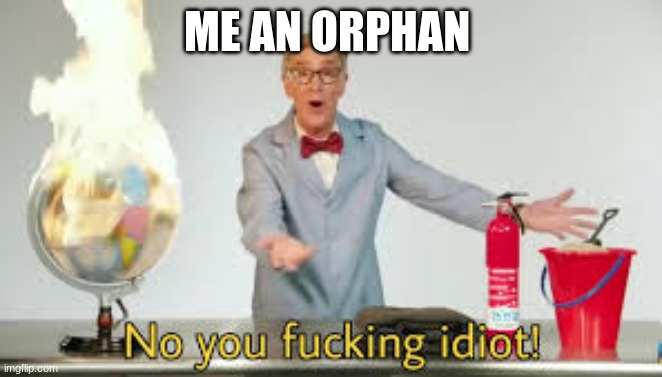 No you fucking idiot | ME AN ORPHAN | image tagged in no you fucking idiot | made w/ Imgflip meme maker