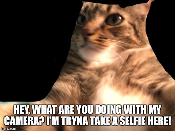 Selfie XD | HEY, WHAT ARE YOU DOING WITH MY CAMERA? I’M TRYNA TAKE A SELFIE HERE! | made w/ Imgflip meme maker