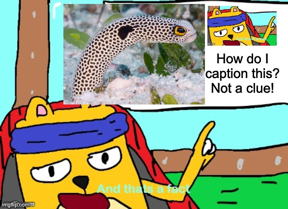 And thanks to Wubbzymon for managing the stream! | How do I caption this?
Not a clue! | image tagged in wubbzy and that's a fact,clueless,and that's a fact,bad joke eel | made w/ Imgflip meme maker