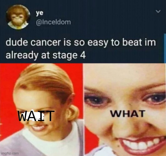 WAIT | image tagged in wheeze | made w/ Imgflip meme maker
