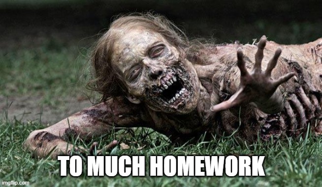 Walking Dead Zombie | TO MUCH HOMEWORK | image tagged in walking dead zombie | made w/ Imgflip meme maker