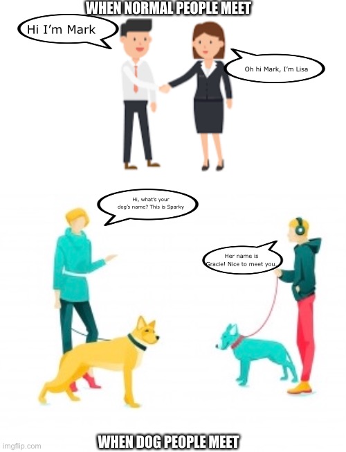 Dog people vs non-dog people | WHEN NORMAL PEOPLE MEET; Hi I’m Mark; Oh hi Mark, I’m Lisa; Hi, what’s your dog’s name? This is Sparky; Her name is Gracie! Nice to meet you. WHEN DOG PEOPLE MEET | image tagged in dogs,memes | made w/ Imgflip meme maker