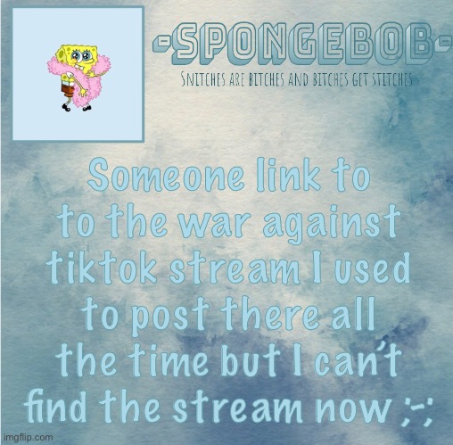Sponge temp | Someone link to to the war against tiktok stream I used to post there all the time but I can’t find the stream now ;-; | image tagged in sponge temp | made w/ Imgflip meme maker