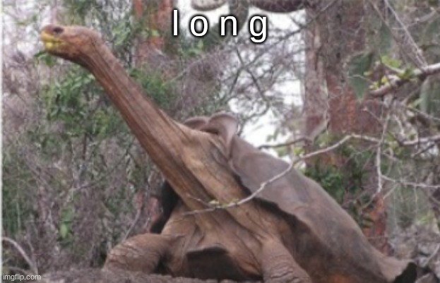 l o n g | made w/ Imgflip meme maker