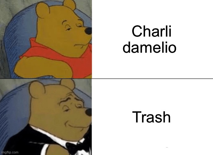 Actually no this is an insult to trash | Charli damelio; Trash | image tagged in memes,tuxedo winnie the pooh | made w/ Imgflip meme maker
