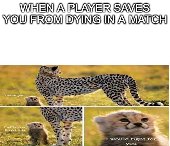 i will never forget this. | WHEN A PLAYER SAVES YOU FROM DYING IN A MATCH | image tagged in gaming,lol,haha,memes,tiger | made w/ Imgflip meme maker