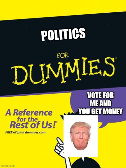 For dummies book | POLITICS; VOTE FOR ME AND YOU GET MONEY | image tagged in for dummies book | made w/ Imgflip meme maker