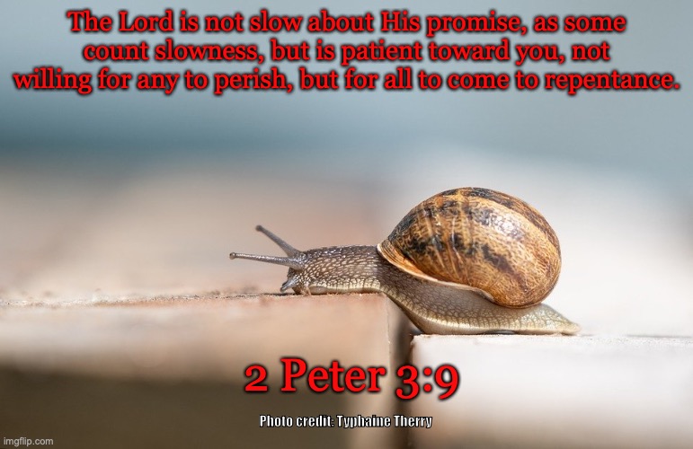 I'm Waiting | The Lord is not slow about His promise, as some count slowness, but is patient toward you, not willing for any to perish, but for all to come to repentance. 2 Peter 3:9; Photo credit: Typhaine Therry | image tagged in open door,now is the time | made w/ Imgflip meme maker