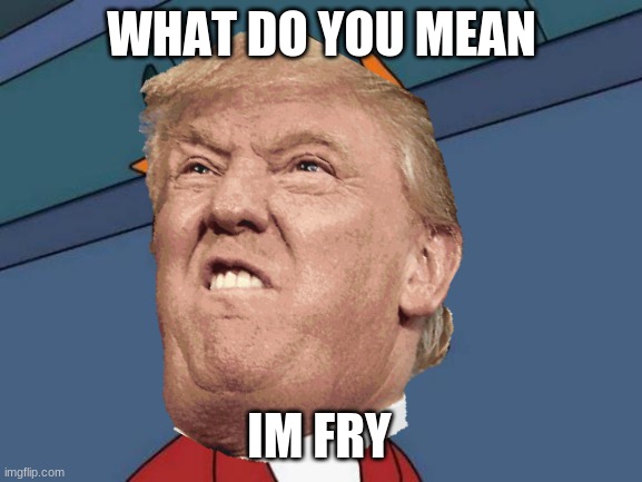 lol | WHAT DO YOU MEAN; IM FRY | image tagged in donald trump is an idiot,god help | made w/ Imgflip meme maker