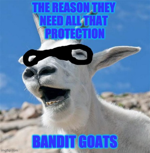 Laughing Goat Meme | THE REASON THEY 
NEED ALL THAT 
PROTECTION BANDIT GOATS | image tagged in memes,laughing goat | made w/ Imgflip meme maker