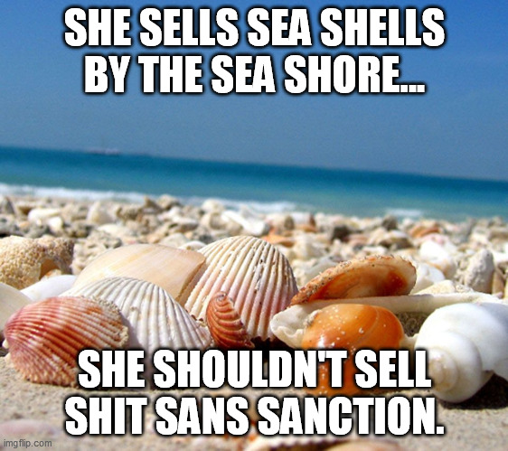 Sea shells | SHE SELLS SEA SHELLS BY THE SEA SHORE... SHE SHOULDN'T SELL SHIT SANS SANCTION. | image tagged in sea shells,memes | made w/ Imgflip meme maker