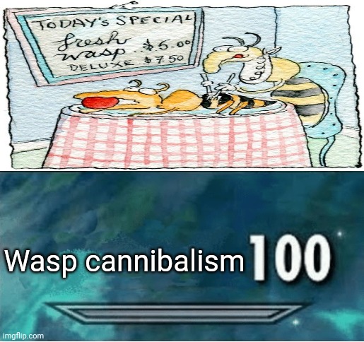 Wasp |  Wasp cannibalism | image tagged in skyrim 100 blank,wasp,memes,funny,cannibalism,hold up | made w/ Imgflip meme maker