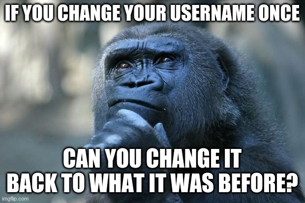help | IF YOU CHANGE YOUR USERNAME ONCE; CAN YOU CHANGE IT BACK TO WHAT IT WAS BEFORE? | image tagged in deep thoughts,imgflip | made w/ Imgflip meme maker