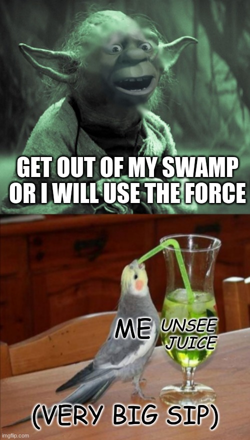 Get out of my swamp! | GET OUT OF MY SWAMP
OR I WILL USE THE FORCE; ME; UNSEE 
JUICE; (VERY BIG SIP) | image tagged in shrek | made w/ Imgflip meme maker