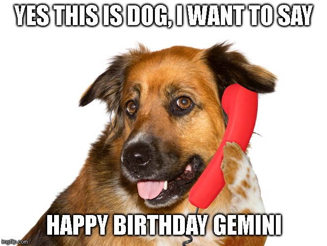 Gemini: May 21 - June 20 (yes i know this is a day early, but geez its only a day calm down) | YES THIS IS DOG, I WANT TO SAY; HAPPY BIRTHDAY GEMINI | image tagged in dog on the phone,zodiac,signs,dog | made w/ Imgflip meme maker
