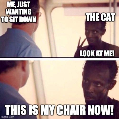 This is my chair now! | ME, JUST WANTING TO SIT DOWN; THE CAT; LOOK AT ME! THIS IS MY CHAIR NOW! | image tagged in memes,captain phillips - i'm the captain now,cat,chair | made w/ Imgflip meme maker