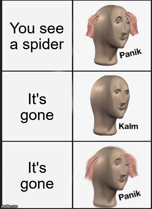 This is true af | You see a spider; It's gone; It's gone | image tagged in memes,panik kalm panik | made w/ Imgflip meme maker