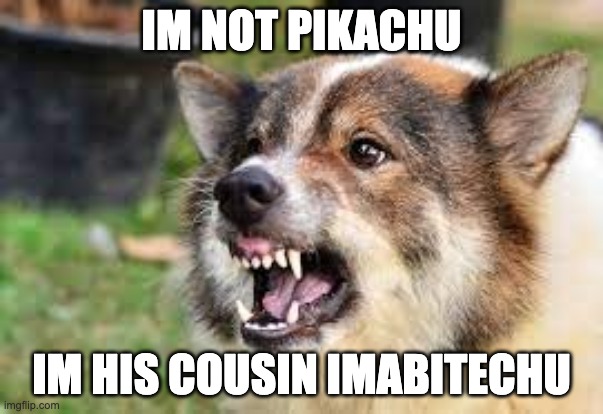 dog | IM NOT PIKACHU; IM HIS COUSIN IMABITECHU | image tagged in one does not simply | made w/ Imgflip meme maker