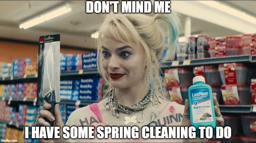 Whatcha gonna do there Harley? | DON'T MIND ME; I HAVE SOME SPRING CLEANING TO DO | image tagged in harley quinn birds of prey | made w/ Imgflip meme maker