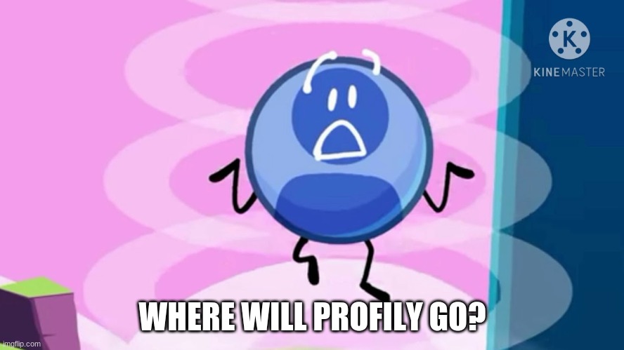 WHERE WILL PROFILY GO? | made w/ Imgflip meme maker