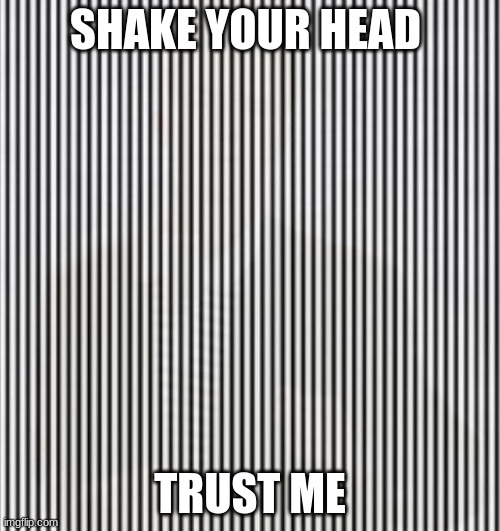 shake it NOW |  SHAKE YOUR HEAD; TRUST ME | image tagged in shake your head | made w/ Imgflip meme maker