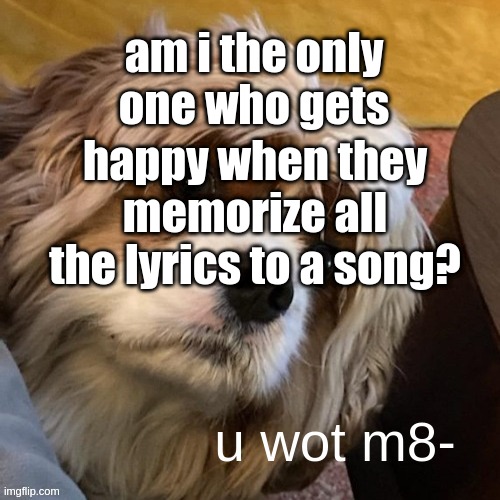 CUZ OML I JUST WHISPER-SANG A RAP SONG AND IT PROLLY SOUNDED TERRIBLE BUT I'M SHOOK- | am i the only one who gets; happy when they memorize all the lyrics to a song? | image tagged in u wot m8 narwhals doge | made w/ Imgflip meme maker