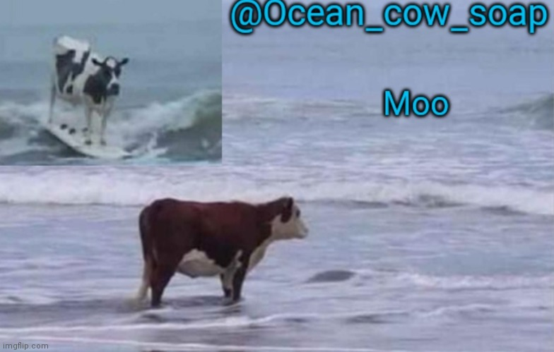 High Quality soap's ocean cow temp (ty yachi ^^) Blank Meme Template