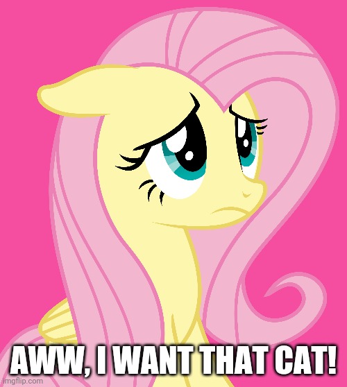 AWW, I WANT THAT CAT! | made w/ Imgflip meme maker